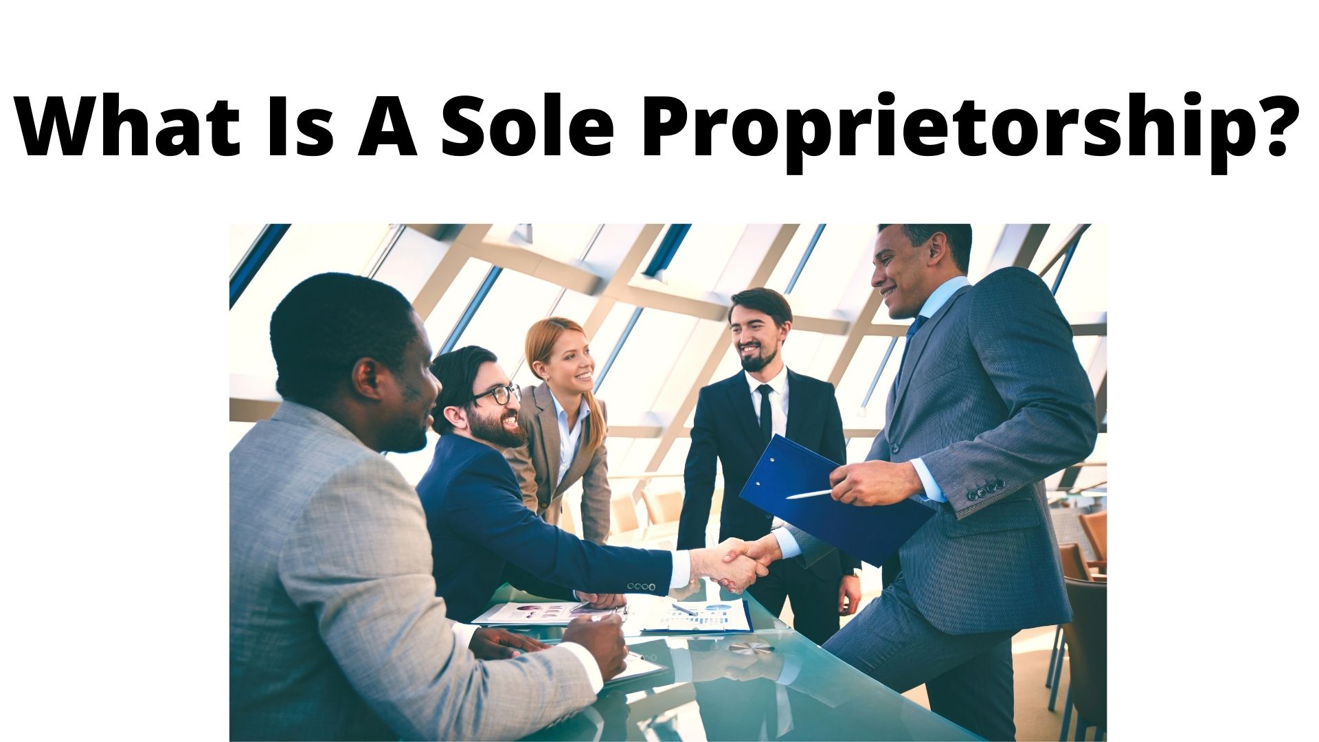 What Is A Sole Proprietorship?￼