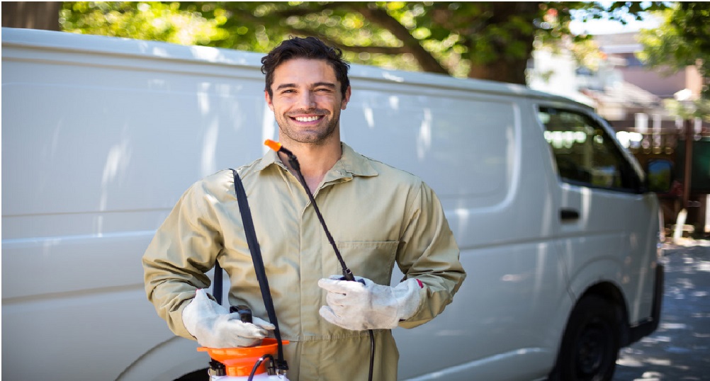 Top 6 Pest Control Companies and Guide to Choosing the Best One