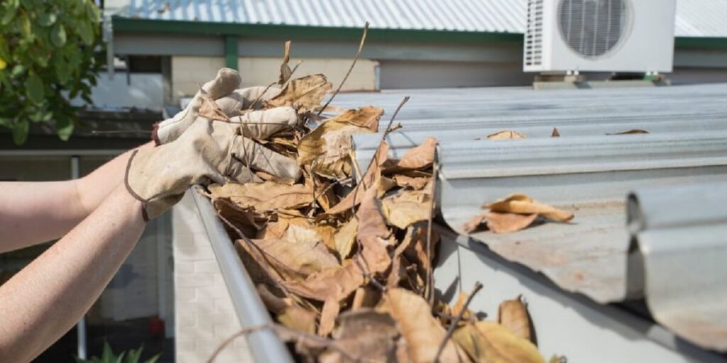 Gutter Cleaning