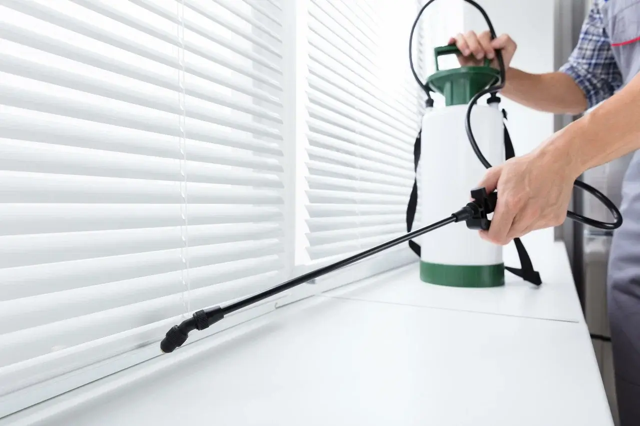 Pest Control Near Me