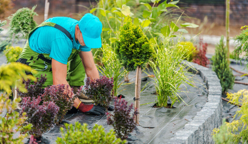Landscaping Maintenance