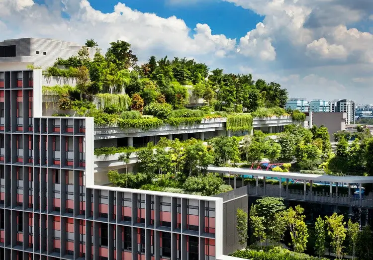 Sustainable Architecture In Singapore Luxury Condos Building A Greener 