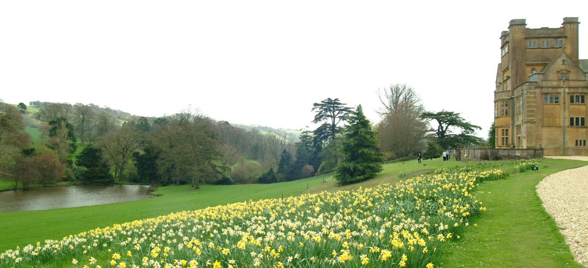 Dorset Garden